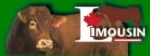 limousin in canada