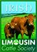 irish limousin