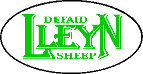 Lleyn sheep