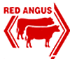 australian red angus