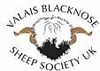 Valais Blacknose Sheep Society UK