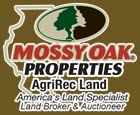 Mossyoak Properties